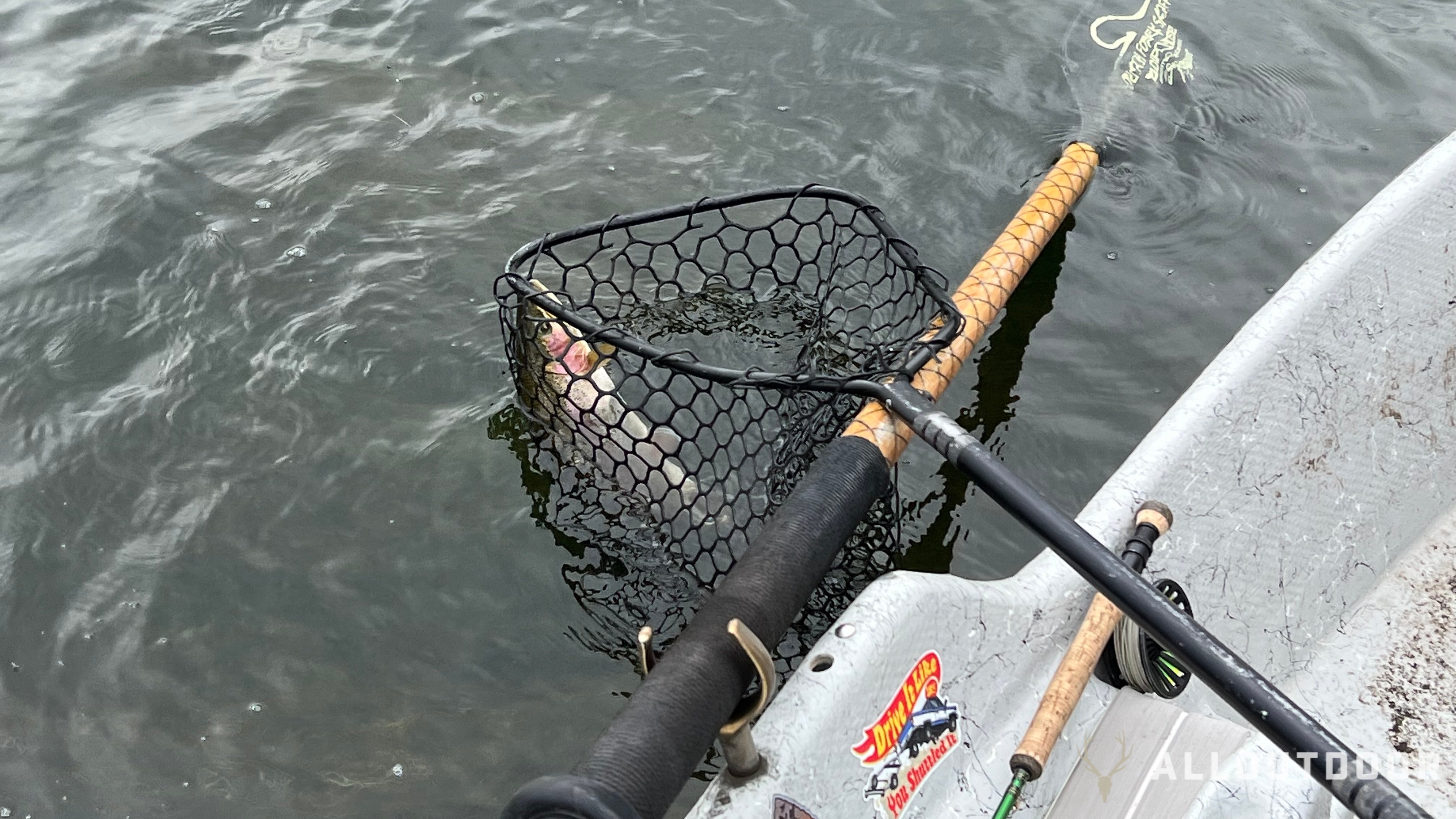 How to Catch Trout: A Beginner's Guide to Success