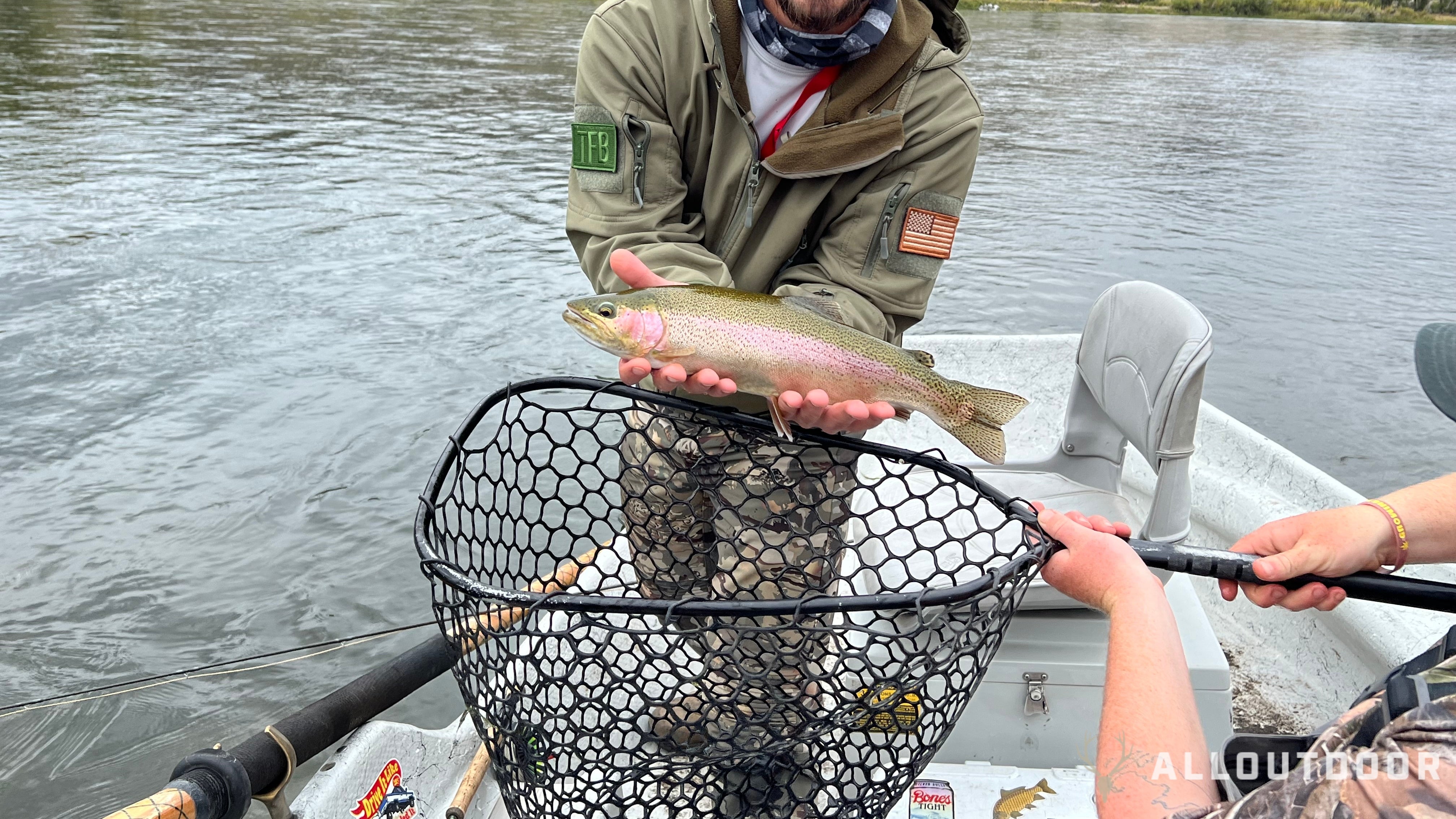How to Catch Trout: A Beginner's Guide to Success