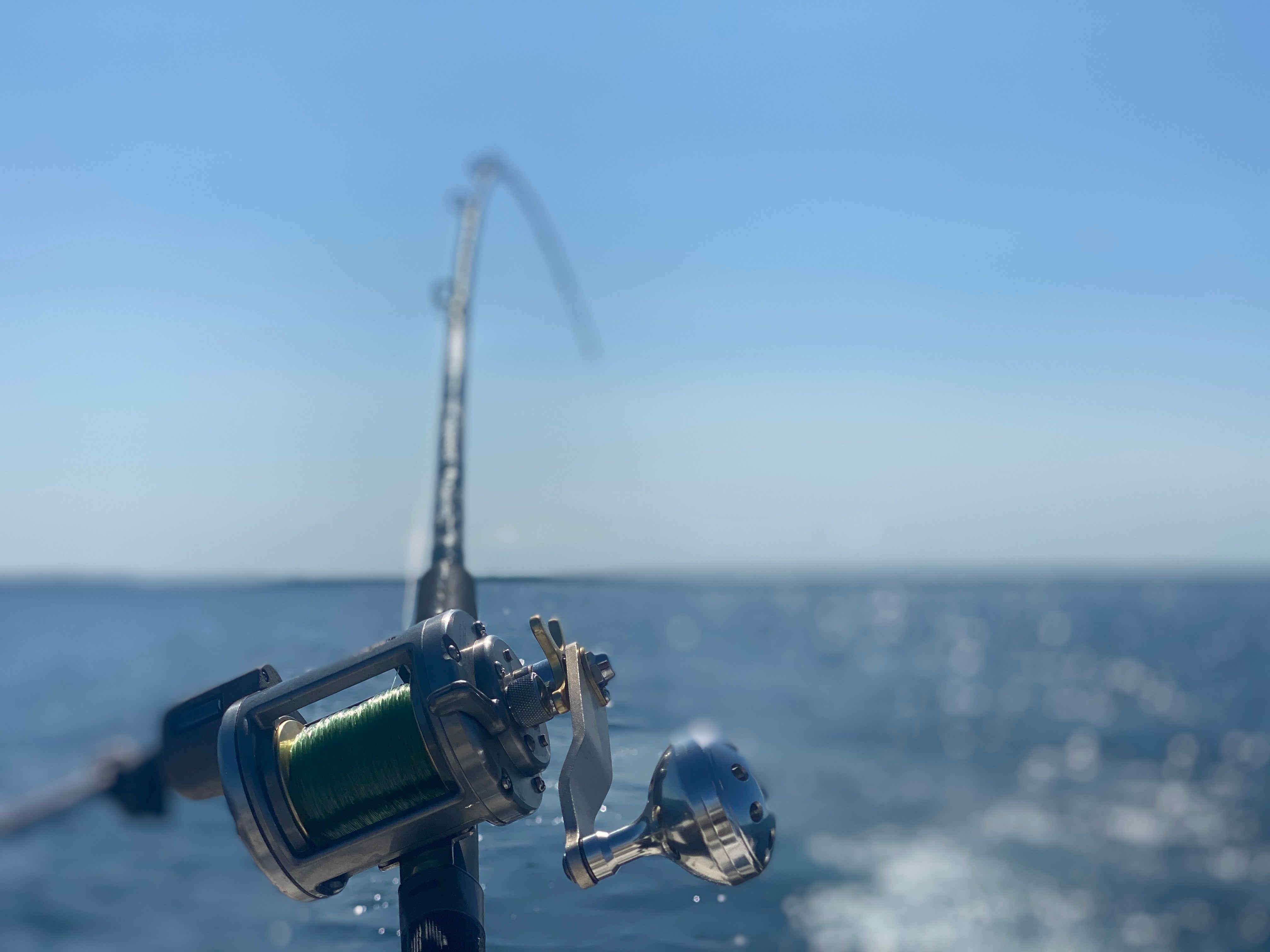 How to Fish for Trout: Trout Fishing for Everyone in 2025