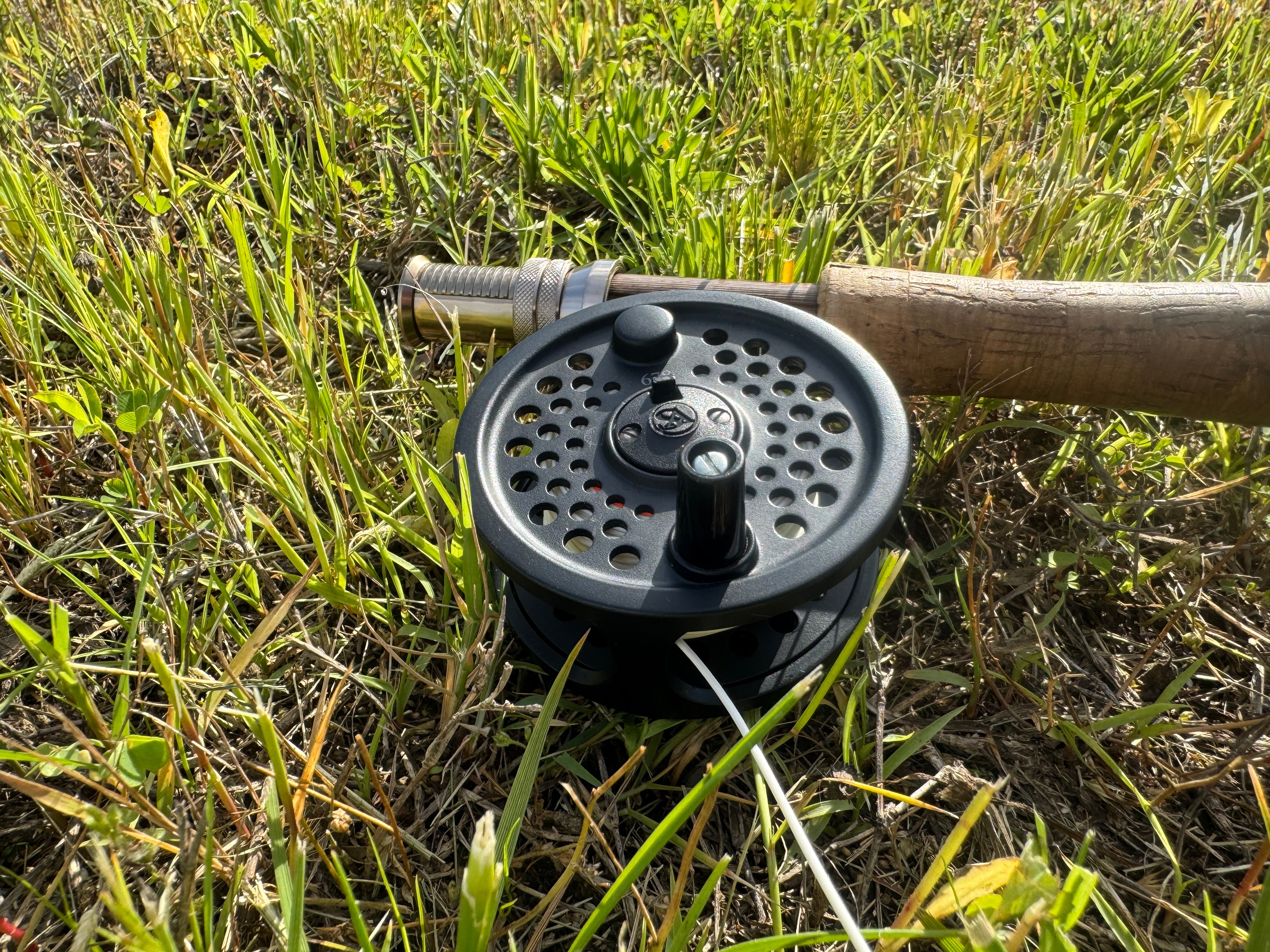 Fly Fishing Gear for Beginners: Everything You Need to Get Started