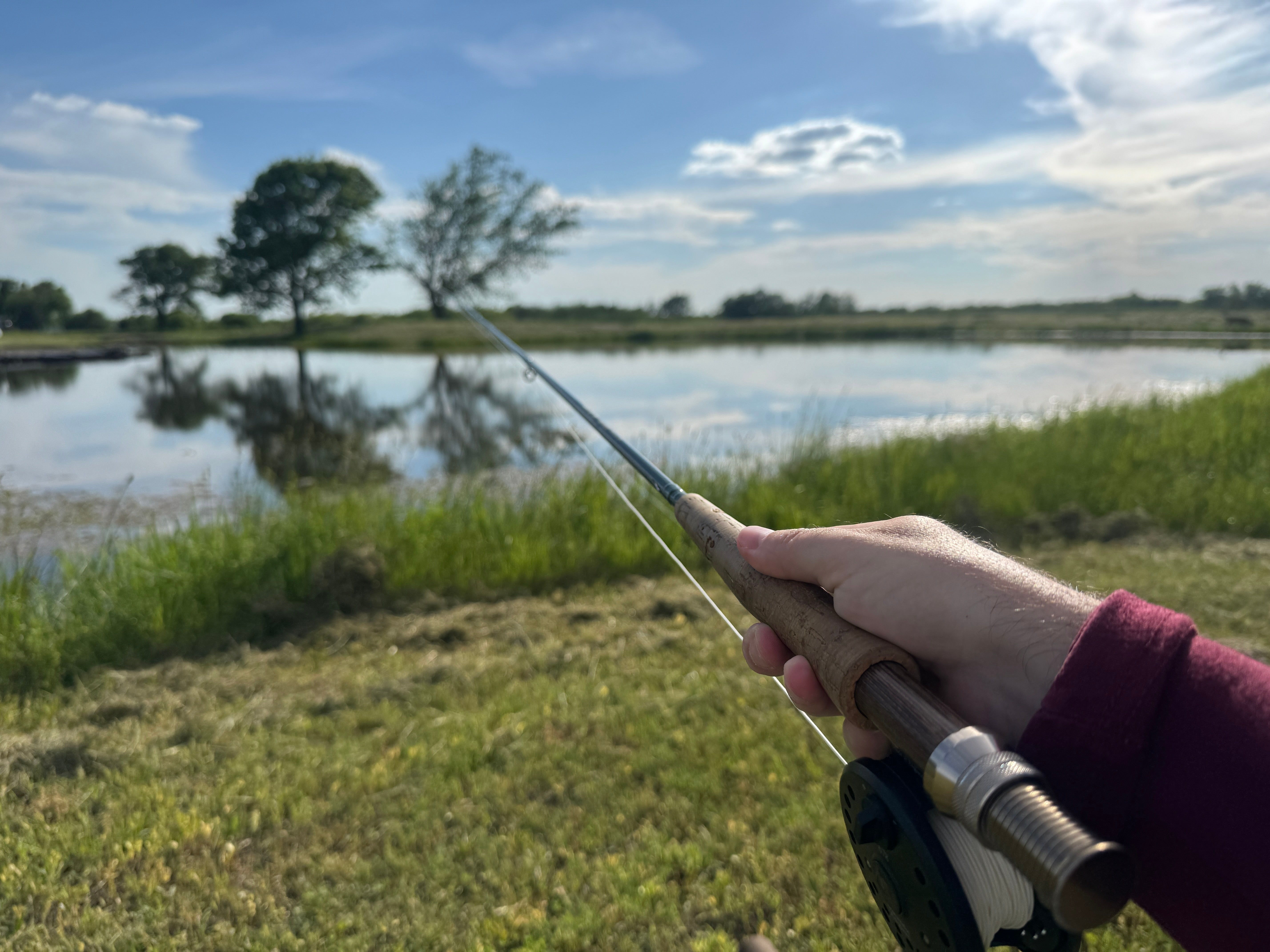 Fly Fishing Gear for Beginners: Everything You Need to Get Started