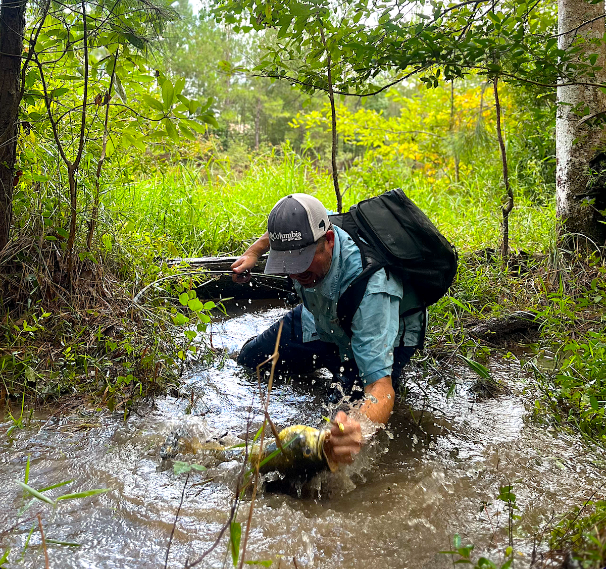 How to Catch Bass in 2025: Everything You Need to Know How to Catch Bass in 2025: Everything You Need to Know