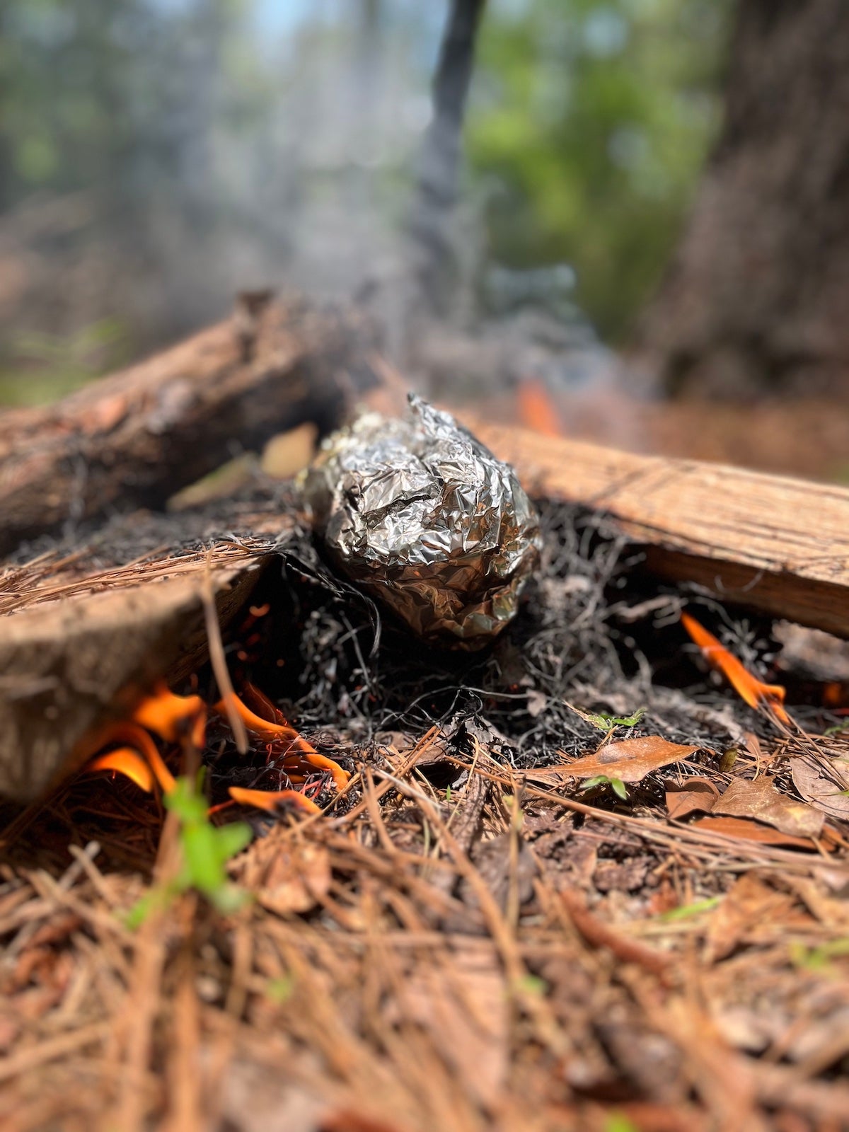 Campfire Recipe: Loaded Baked Potatoes - The Best You'll Ever Have!