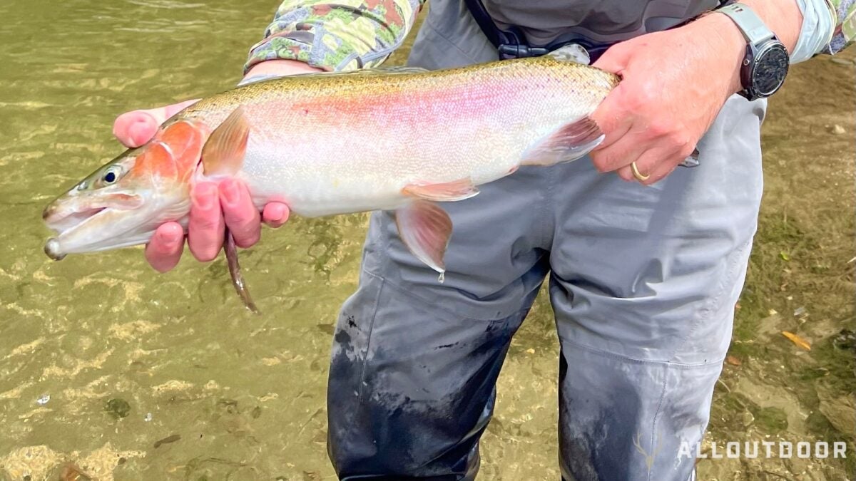How to Catch Trout: A Beginner’s Guide to Success How to Catch Trout: A Beginner’s Guide to Success