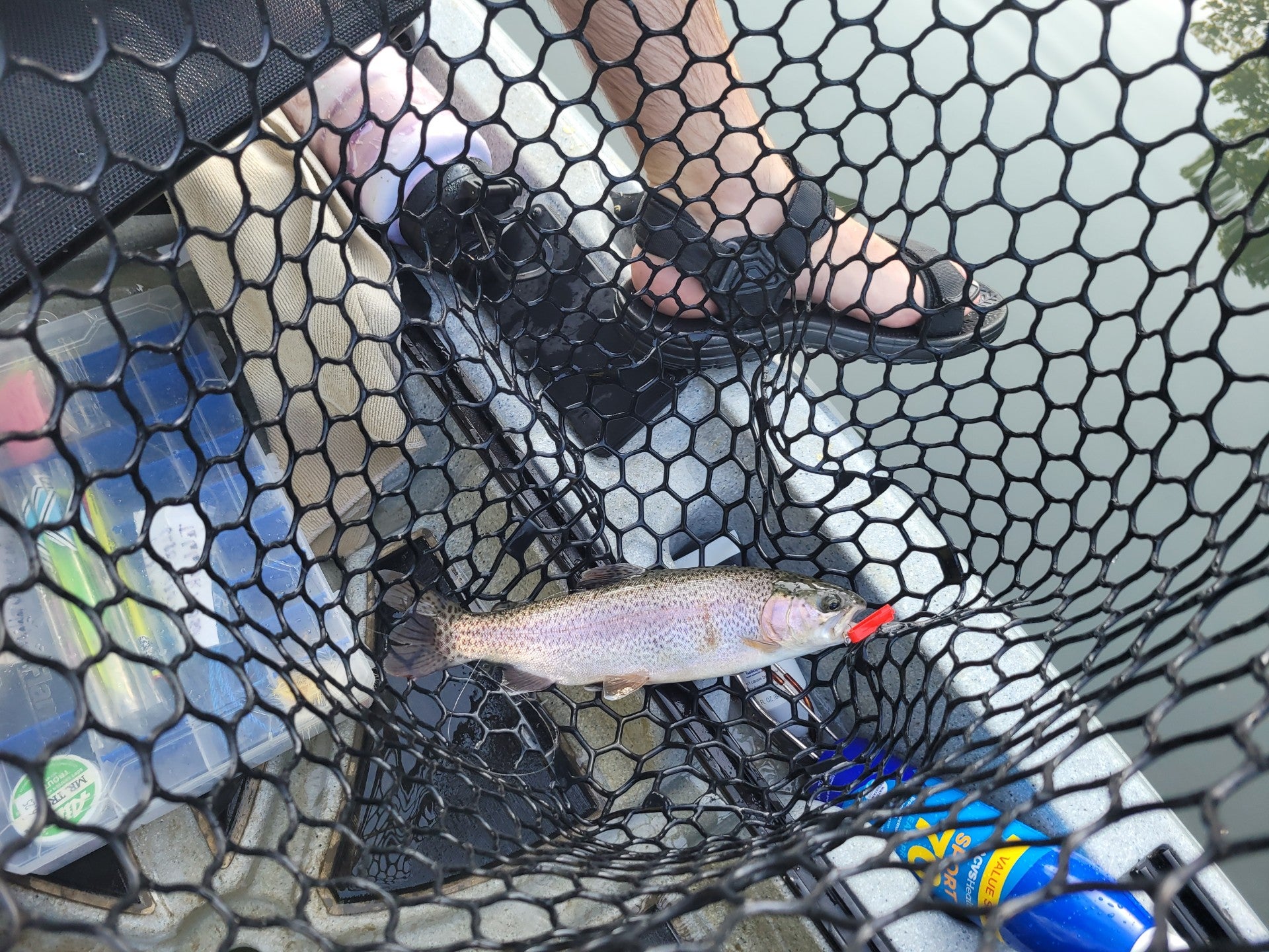 Best Trout Bait to Take Fishing in 2025: What To Use & When To Use It