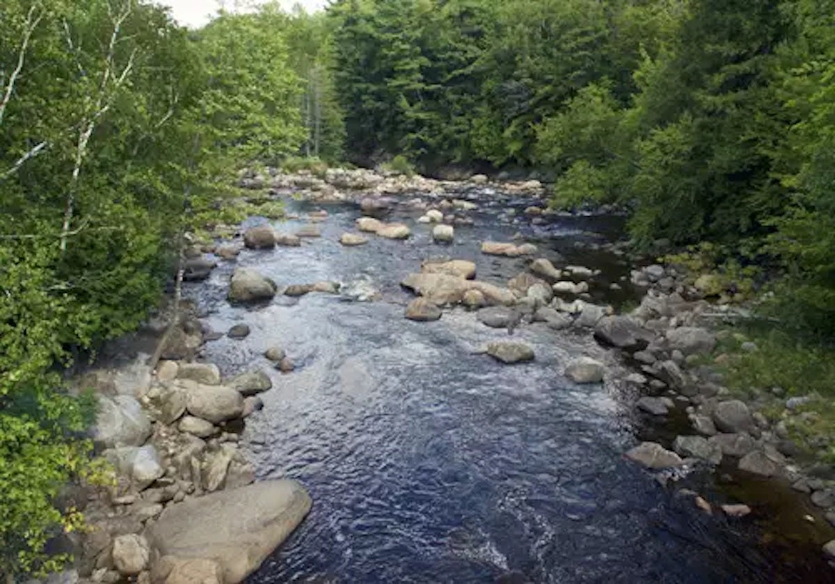 Michigan's Au Sable River named America's BEST for Fly Fishing