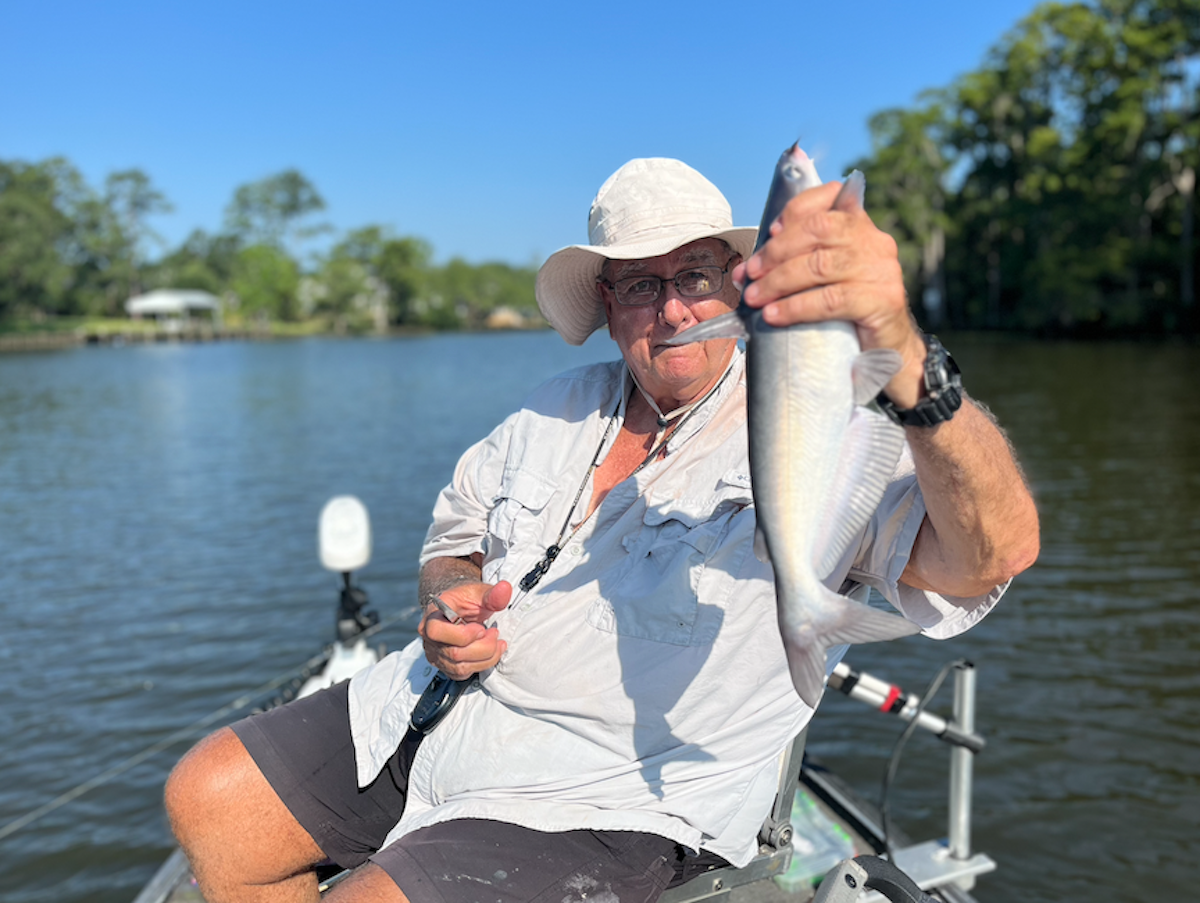 Pre-Spawn Catfish Bite is Heating Up in the month of June! Pre-Spawn Catfish Bite is Heating Up in the month of June!