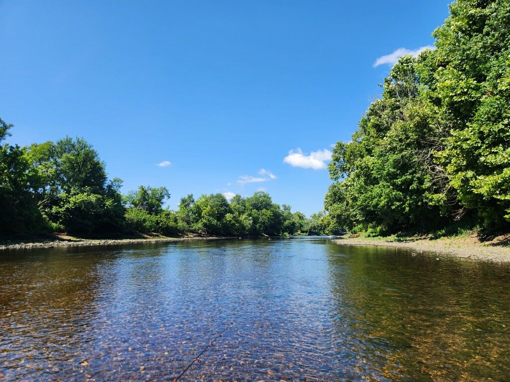 Best Trout Bait to Take Fishing in 2025: What To Use & When To Use It